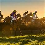 grand national runners sky bet